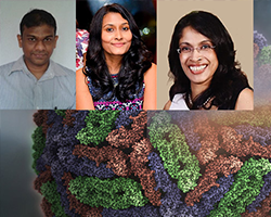 Scientists at the Centre for Dengue Research at the University of Sri Jayewardenepura, make a breakthrough discovery about how certain antibodies give rise to severe dengue